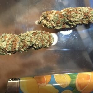 Green Beret Marijuana Strain Victoria