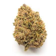 Alien OG Marijuana Strain Albury