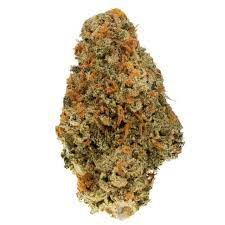 Buy Jackson's Jambo Marijuana Strain AU