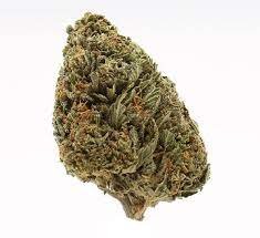 Casey Jones Weed Strain AU