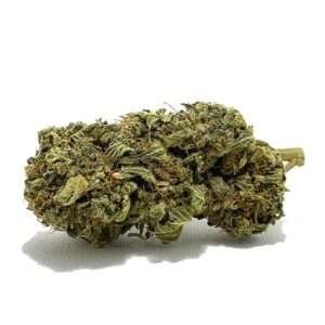 Ghost Train Haze Weed Strain AU