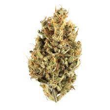 Jungle Cake Marijuana Strain Shepparton