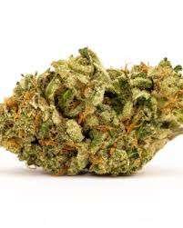 Platinum Fire OG Cannabis Strain Mildura