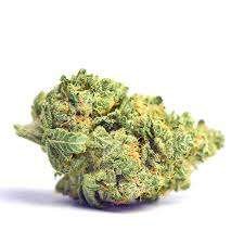 Sour Banana Sherbet Weed Strain Darwin