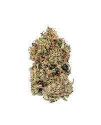 Zeus OG Marijuana Strain AU